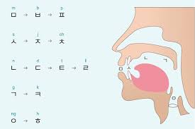 The korean alphabet also has certain stroke orders to form each letter. Guide To Korean Pronunciation And Grammar Rules The Glossika Blog