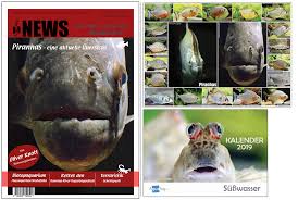 We did not find results for: Wie Entsteht Eigentlich Ein Bookazine Aqualog De