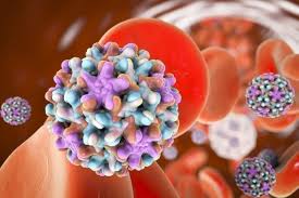 It's usually the result of a viral infection or liver damage there are several different types of hepatitis, most of which are outlined below. Hepatitis B Hep B What Is Hepatitis Familydoctor Org