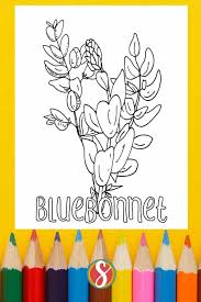 482 x 617 file type: 5 Free Bluebonnet Coloring Pages Stevie Doodles Free Printable Coloring Pages