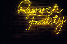 What Katie Ate The Grounds Sydney Neon Words Neon Typography Neon Signs