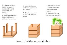 How to plant potatoes in a raised garden. Growing Potatoes In Raised Bed