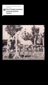 William Steinkraus - Equestrian Living
