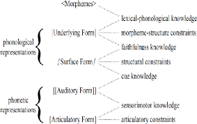 Figure 1 From The Computation Of Assimilation Of Arabic