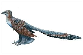 images?q=tbn:ANd9GcTfIDfYknfkXxzEvKvLNqmnLimf1JShaSLVDc4_5c1hLktLyVd7