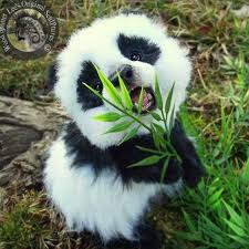 4.6 out of 5 stars. Panda Cute Photos Facebook