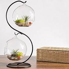 Mkono Glass Vase Plant Terrarium With Metal Stand 2 Globes Amazon Ca Patio Lawn Garden Clear Glass Vases Hanging Plants Terrarium