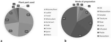 Image result for Menisorus pauciflorus