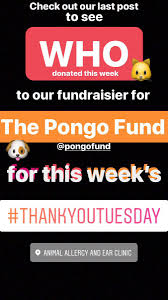 Established in 1922 in the heart of downtown portland, our clinic has been serving patients with allergic problems throughout the western united states for. Animal Allergy Ear Theaaec Twitter