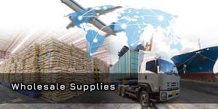 Our solutions power the products and services of insurance and assistance companies, increasing perceived value, promoting market differentiation, and ensuring quality support for their users. Integrated Logistics Solutions Global Go