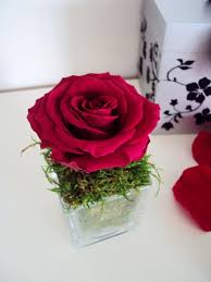 Preparez La Saint Valentin En Douceur A Partir De 15 Euros N Attendez Par La Derniere Minute Pour Offrir Un Instant D Eternite E Rose Stabilisee Fleurs Artificielles Et Rose Eternelle