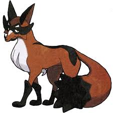 Black And Orange Fox Name 