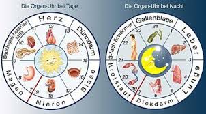 Bezeichnet wird der energiefluss in der tcm als chi (oder qi). Organuhr Tcm