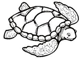 Select from 36755 printable coloring pages of cartoons, animals, nature, bible and many more. Easy Turtles Coloring Pages Free Coloring Sheets Coloring Home