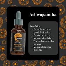 Ashwaganda — Mycellium
