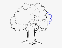 Tree Drawing Png Images Png Cliparts Free Download On Seekpng