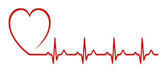 Find & download free png images! Heart Png Transparent Images Png All
