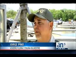 Nuevos detalles sobre accidente en bote en Elliot Key