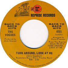 Image result for Turn Around, Look At Me - Vogues