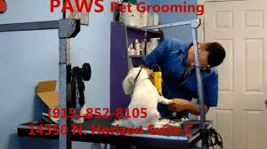 Visit our penny paws online pet medication shop for medications and other important items for your pet! Paws Pet Grooming Home Facebook