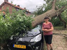 Het is verschrikkelijk, zegt josse haarhuis, eigenaar van buitengewone varkens. Inwoner Leersum Over Noodweer Het Was Echt Luguber