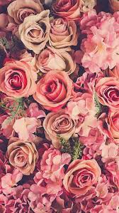 Disfruta de los siguientes 59 fondos de pantalla de flores para tu móvil o escritorio. Pin De Women Daily En Background Wallpaper Frames Flor Estetica Flores Pintadas Flores Para Dibujar