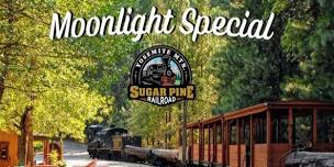 Moonlight Special Dinner & Train Ride