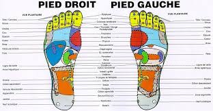 Reflexologie Sqy Les Zones Reflexes Reflexologie Plantaire Points De Pression Formation Reflexologie