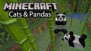 At this time you are not able to tame any type of panda bear (normal or brown) in any current edition of minecraft. Minecraft How To Tame Pandas And Breed Them Gamerheadquarters