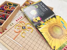 Helianthus (/ ˌ h iː l i ˈ æ n θ ə s /) is a genus comprising about 70 species of annual and perennial flowering plants in the daisy family asteraceae. Mengenal Siklus Hidup Bunga Matahari Indonesiamontessori Com Global Education For Indonesian Parents And Children
