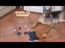 We did not find results for: Best Puzzle Toy For Dogs You Must Have