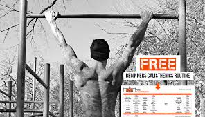 calisthenics workout routine for