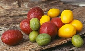 It is a cross between the finger lime (citrus australasica) and the burmese rangpur lime (citrus x limonia), making the fruit more juicy throughout instead of being contained only in the pearls, as in. Novel Australian Lime Varieties Csiro