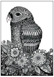 Easy and free to print flowers coloring pages for children. Parrot Flowers Birds Adult Coloring Pages