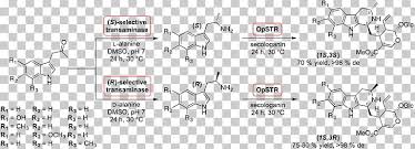 Check spelling or type a new query. Strictosidine Catalysis Chemical Synthesis Pictet Spengler Reaction Reserpine Png Clipart Acid Catalysis Angle Biosynthesis Catalysis Chemical