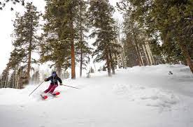 Giant slalom women , 1.st and 2.nd run 14. How To Think About Ski Length Blister