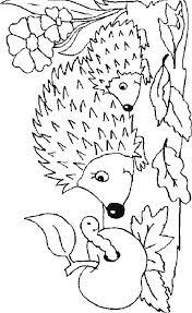 Cose per crescere propone una selezione di. Ausmalbild Igeln Igeln Disegni Da Colorare Cuscini Applique Libri Da Colorare