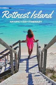 Rottnest Island An Epic 1 Day Itinerary Perth Travel Western Australia Road Trip Oceania Travel