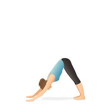 Yoga Pose Downward Facing Dog Pocket Yoga In 2020 Yoga Poses Yoga Illustration Dog Yoga