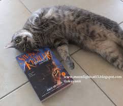 Moonlightcat13 Okuma Halleri Fotograflarla Savasci Kediler Ate Kedi Savascilar Fotograf