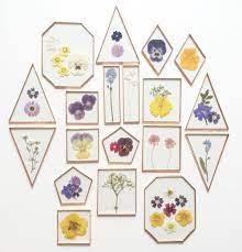 Pressed flowers in stained glass. Stained Glass Framed Pressed Flowers Terrariums Pressed Flower Crafts Pressed Flowers Pressed Flower Art