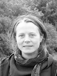 Innovations in UK agroforestry