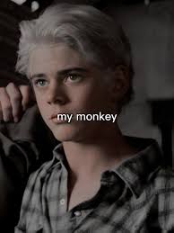 Hes a blonde, headed monkey !!! But i still love him dw !! @Ponyboy Cu...