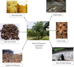 Characteristics of palm oil mill effluent depend on the quality of the raw material and palm oil production processes in palm oil mills. Palm Oil Mill Effluent Treatment Industry News