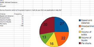 Math Project Pie Charts Micksterstyles Blog