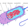 Maybe you would like to learn more about one of these? 3