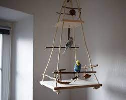 Befestige eine hölzerne wäscheklammer am käfig. Vogelschaukel Und Spielplatz Fur Wellensittiche Schneuse De