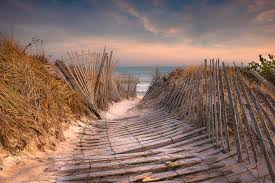 The village is named after the earl of southampton. Flying Point Beach Path Southampton Ny2 Photograph By Stan Dzugan