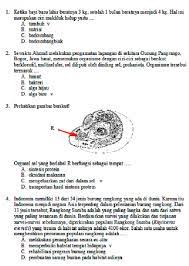 Check spelling or type a new query. Baru Pembahasan Soal Un Ipa Fisika Smp 2018
