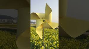 Rumah yang digunakan sebagai tempat istirahat dan melepas penat akan semakin nyaman bila di. Berwisata Ke Taman Bunga Canola Daejo Kota Busan Korea Selatan Youtube